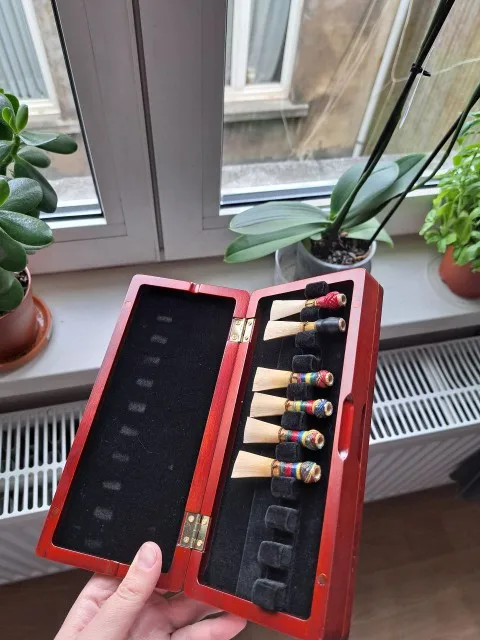 1pcs Bassoon Reed Storage Case - Musical Instrument Bazooka review and price