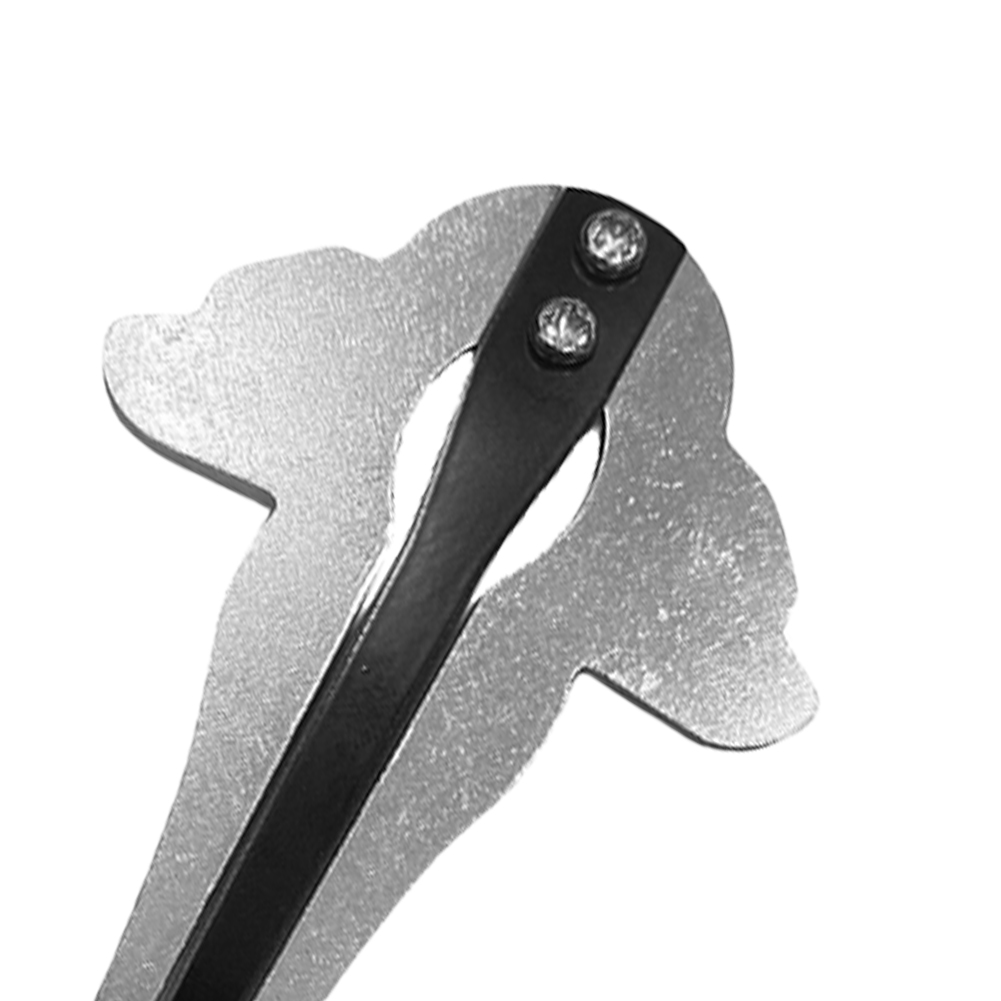 Portable Jaw Harp Chrome Russi - Musical Instrument Harp review and price