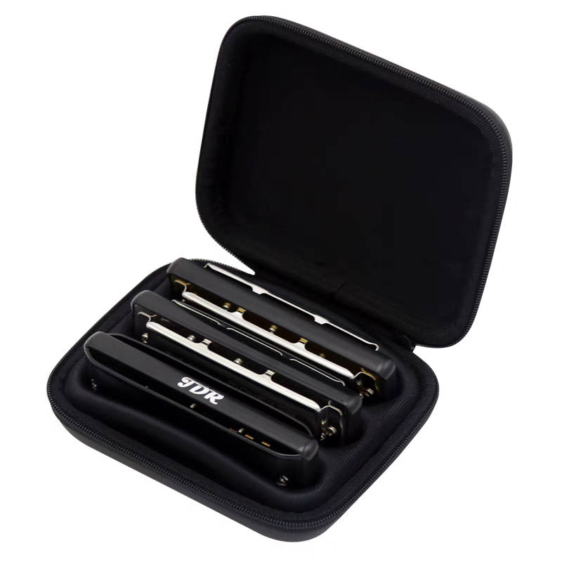 Diatonic Harmonica Case, 10 Ho - Musical Instrument Harp review and price