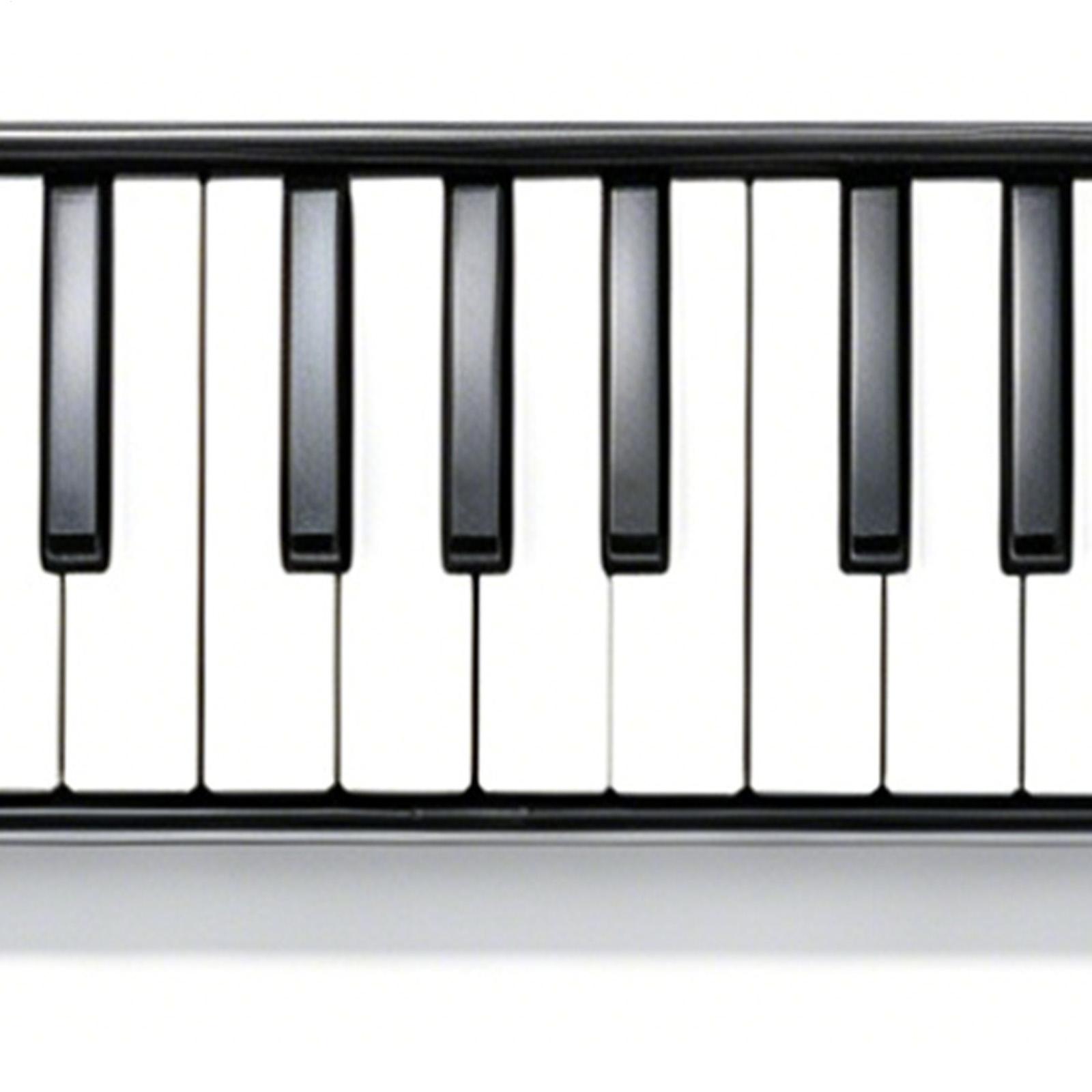 Melodica Instrument 32-Key Por - Musical Instrument Long review and price