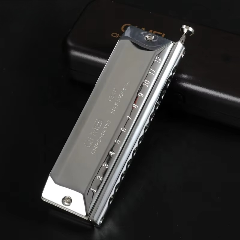 Stainless Steel 12 Hole 48 Not - Musical Instrument Note review and price