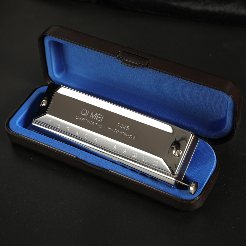Stainless Steel 12 Hole 48 Not - Musical Instrument Note review and price